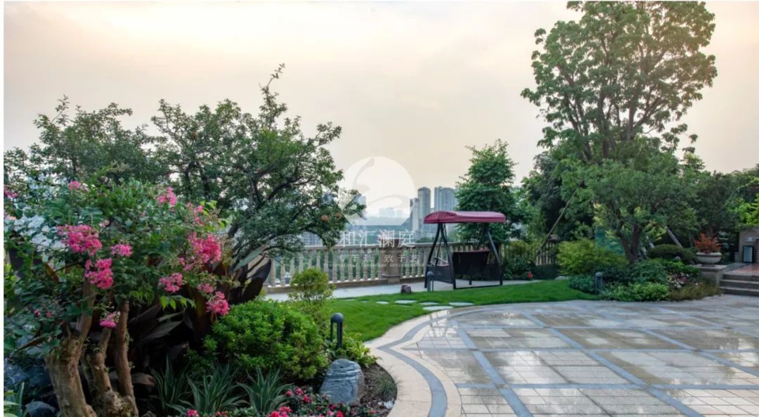 画龙点睛——庭院植物搭配解析-43