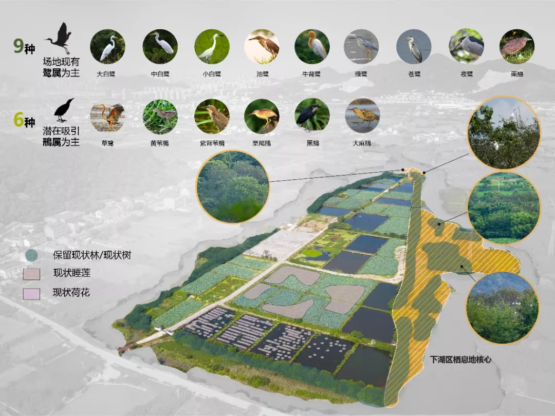 台州鉴洋湖湿地公园首启区景观设计丨中国台州丨AECOM-20