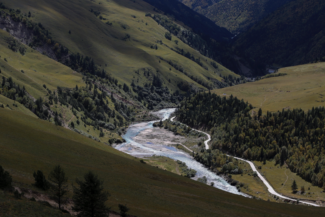 600㎡展厅设计 自然长期主义丨中国深圳丨懒猫创意空间-5