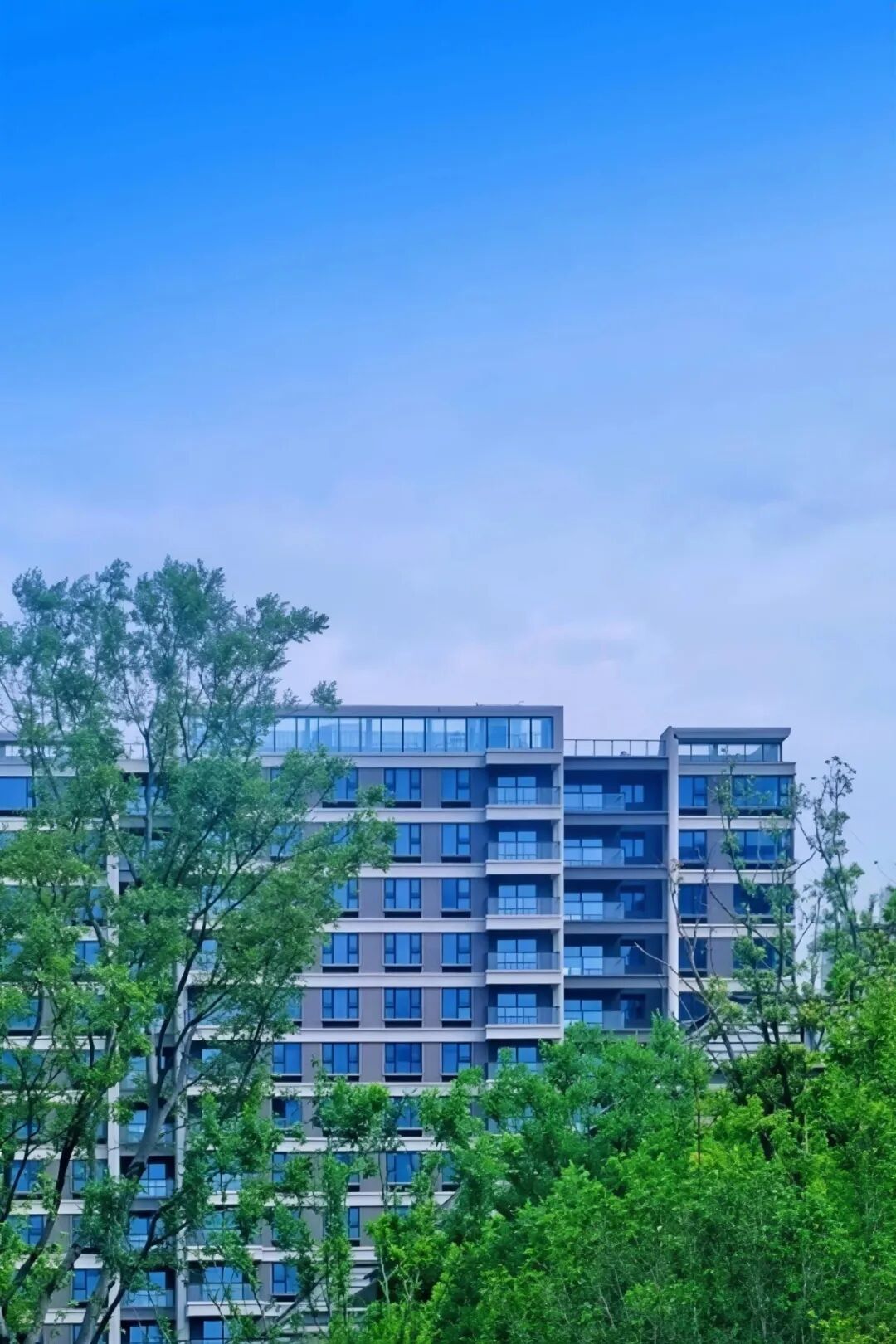 打造未来人居！中建八局为上海新添一处国际WELL健康建筑金级标准社区-78