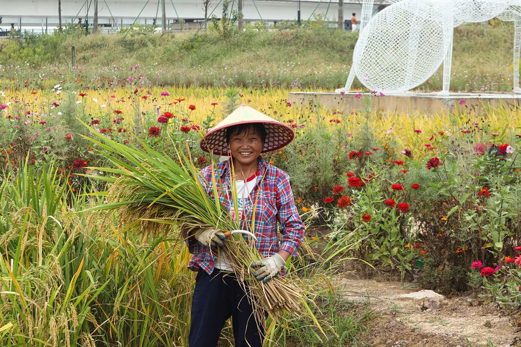 兰溪金角滩公园丨中国浙江-22