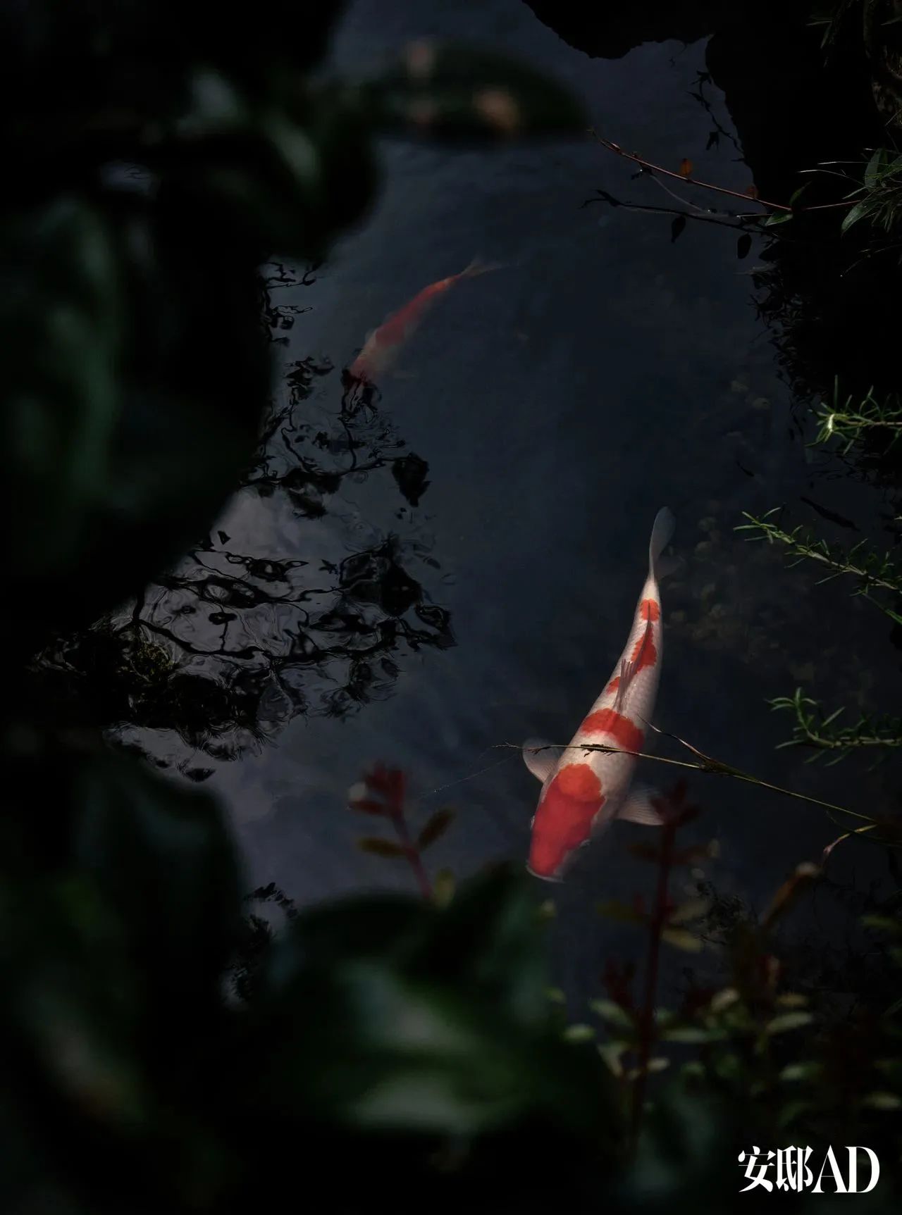 上海浦东诗意私家园庭丨中国上海丨徐文治-7