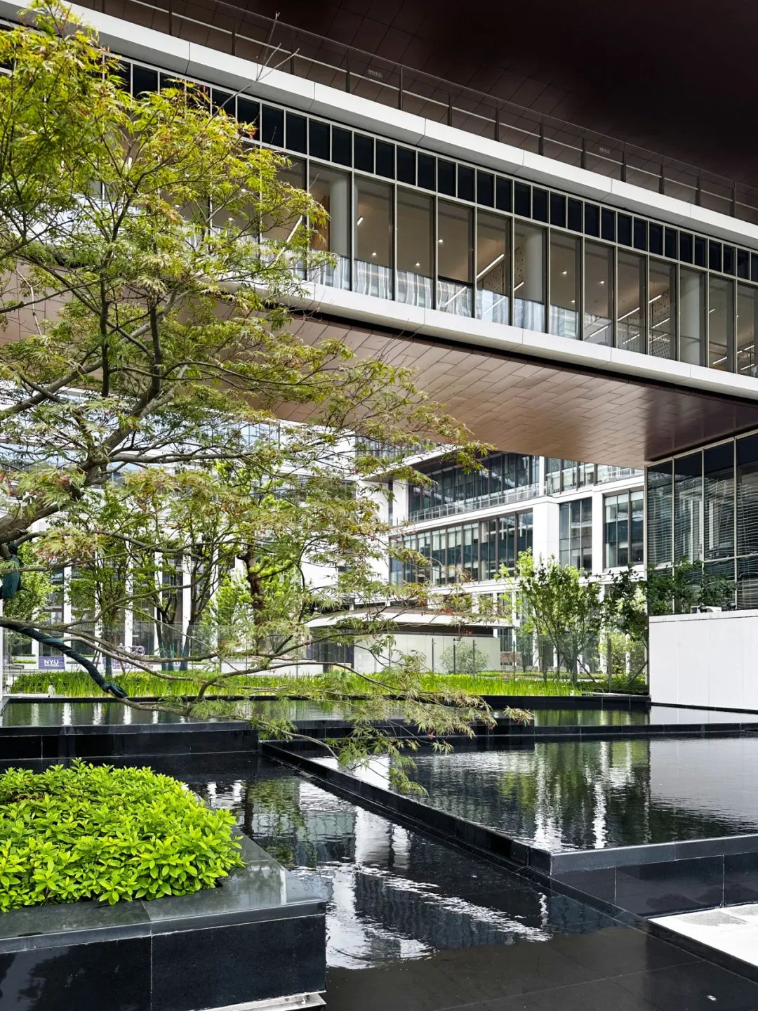 上海纽约大学跨文化校园设计丨中国上海-16