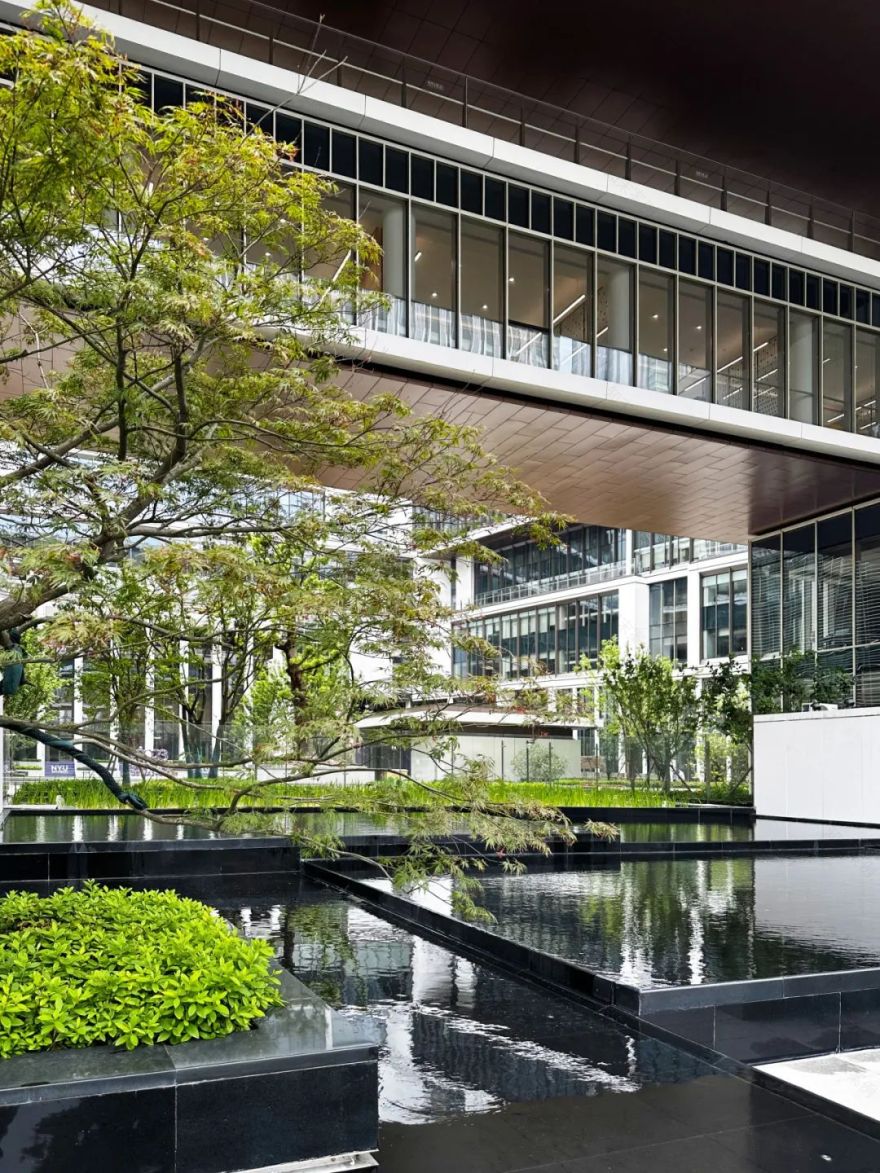 上海纽约大学跨文化校园设计丨中国上海-16