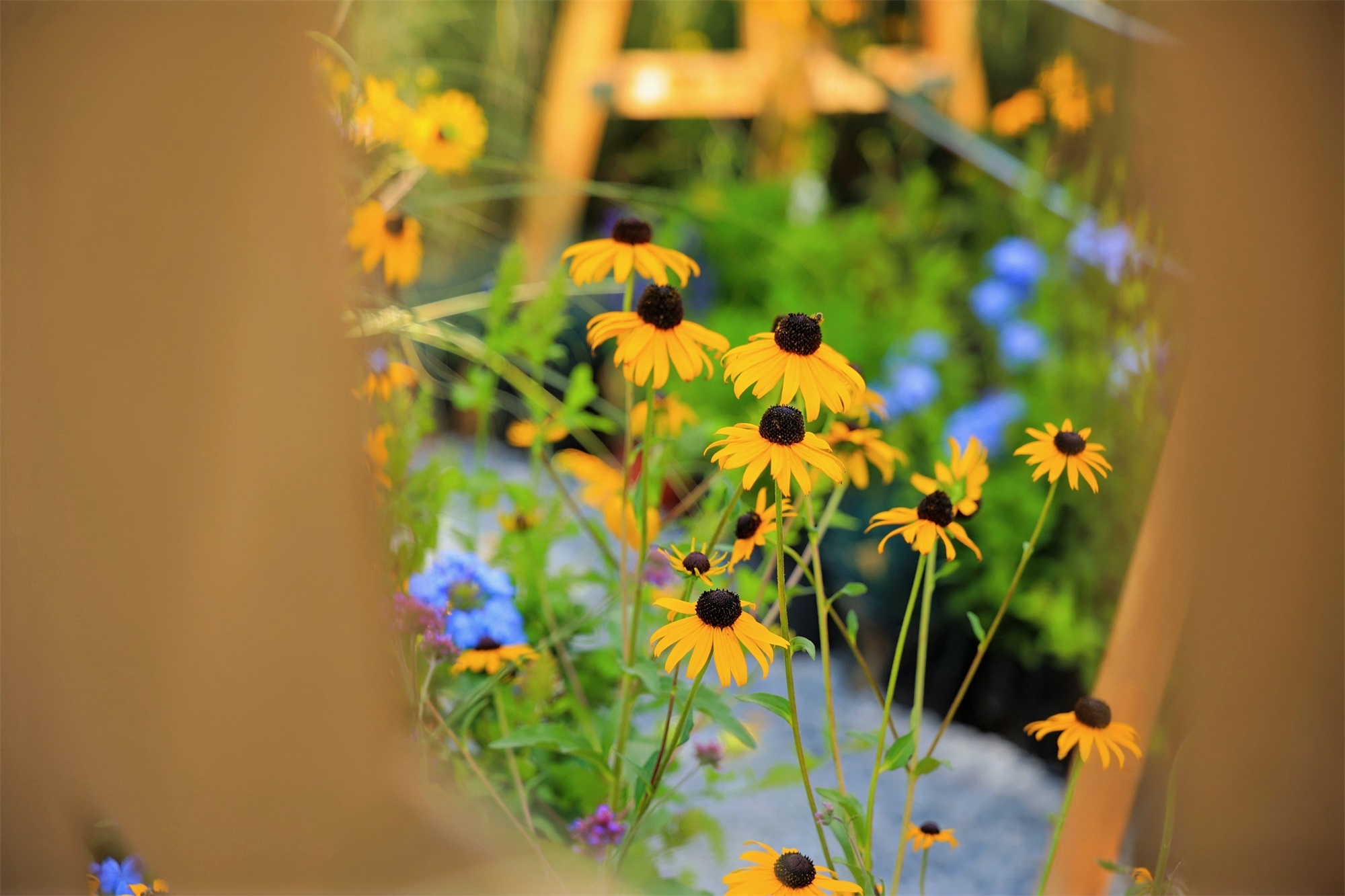 气候盒子丨中国北京丨重庆大学建筑城规学院“空间之间”营造团队-76