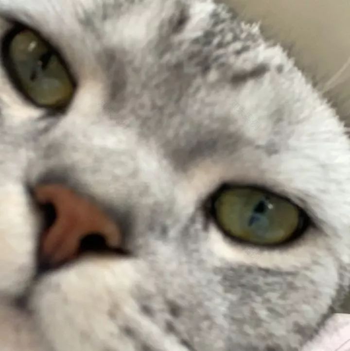 疫情下的设计团队 | 工作方式转变与感悟-34