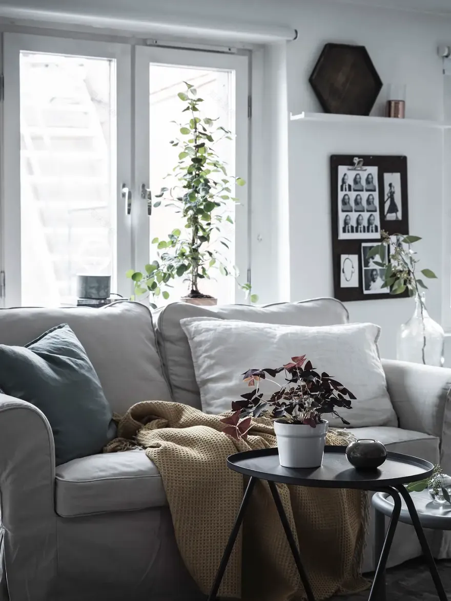 极简一居室,舒适宜居的 36 平米空间-16