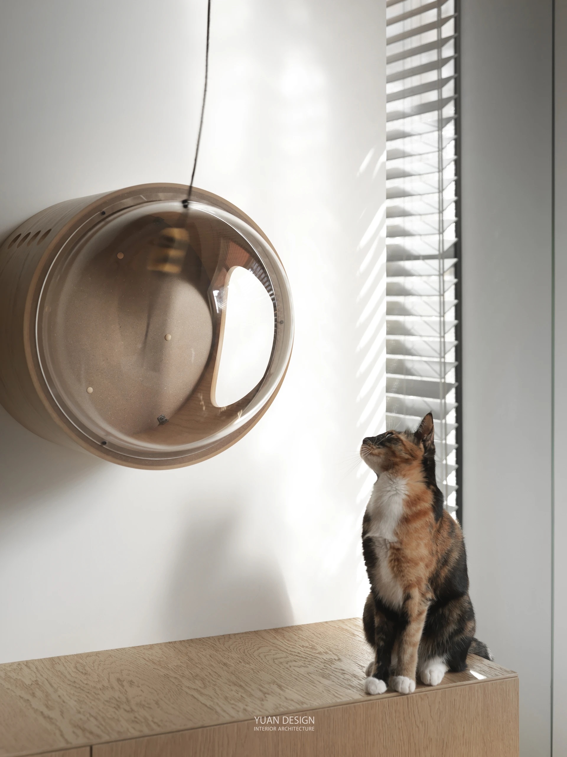 原木格调 人宠和谐相处之家 | yuandesign-6