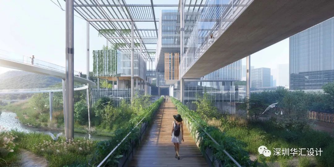 天津大学佐治亚理工深圳学院校区丨中国深圳-81