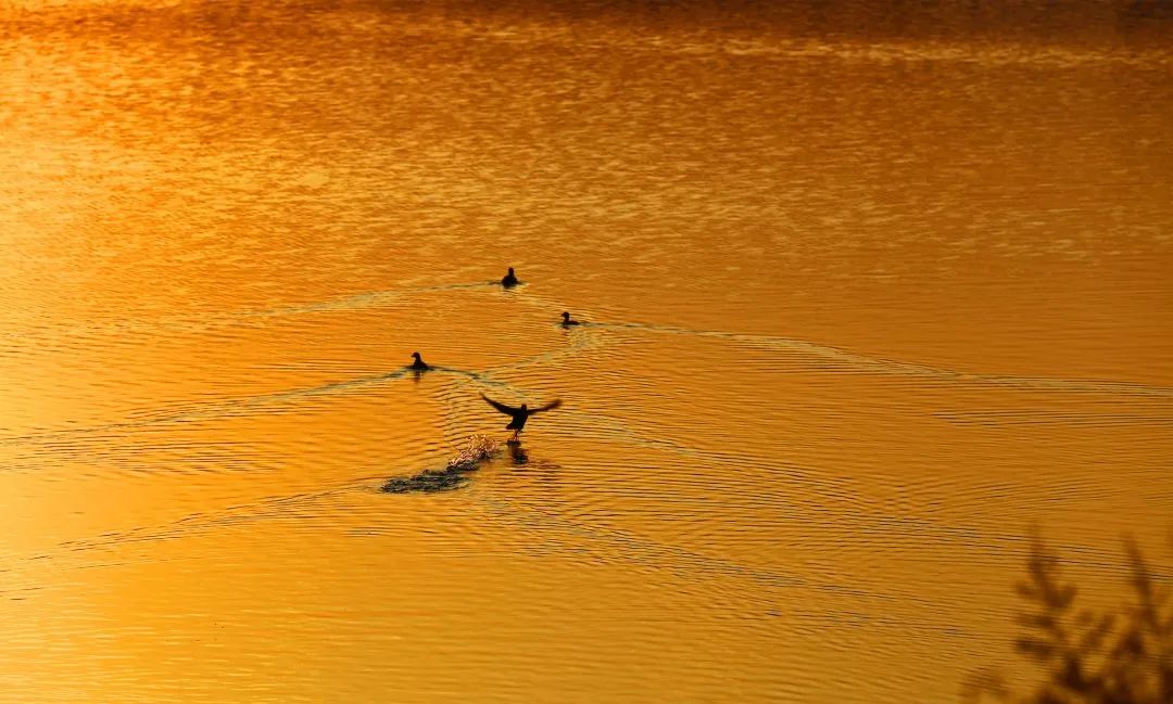 济南华侨城欢乐荟 | 文化地标之美-103