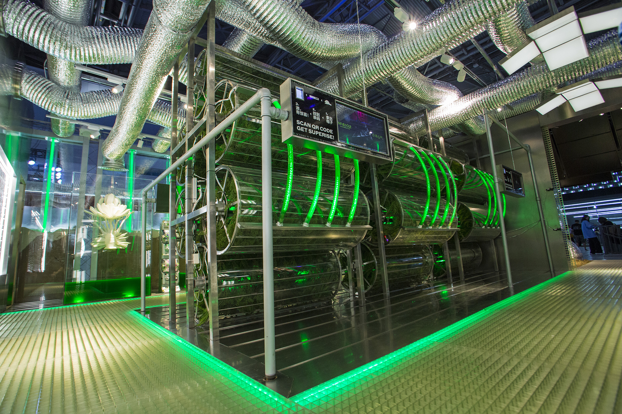 PEACEBIRD MAN YOHOOD 2018_files Sò Studio-1