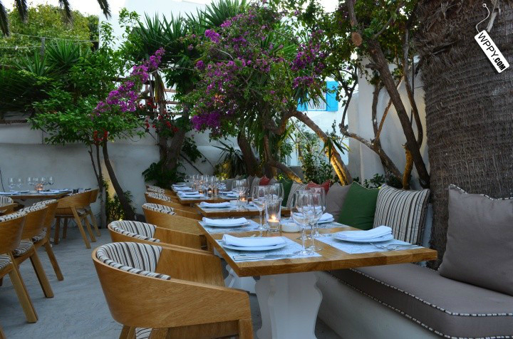 希腊米科诺斯岛的M餐厅-5