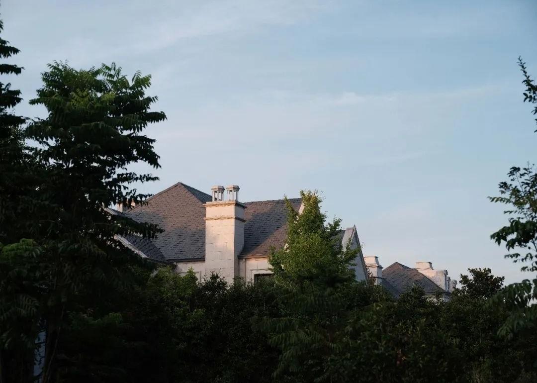 上海绿城玫瑰园800㎡别墅设计丨中国上海丨UDstudio上海悠玓建筑设计咨询有限公司-98