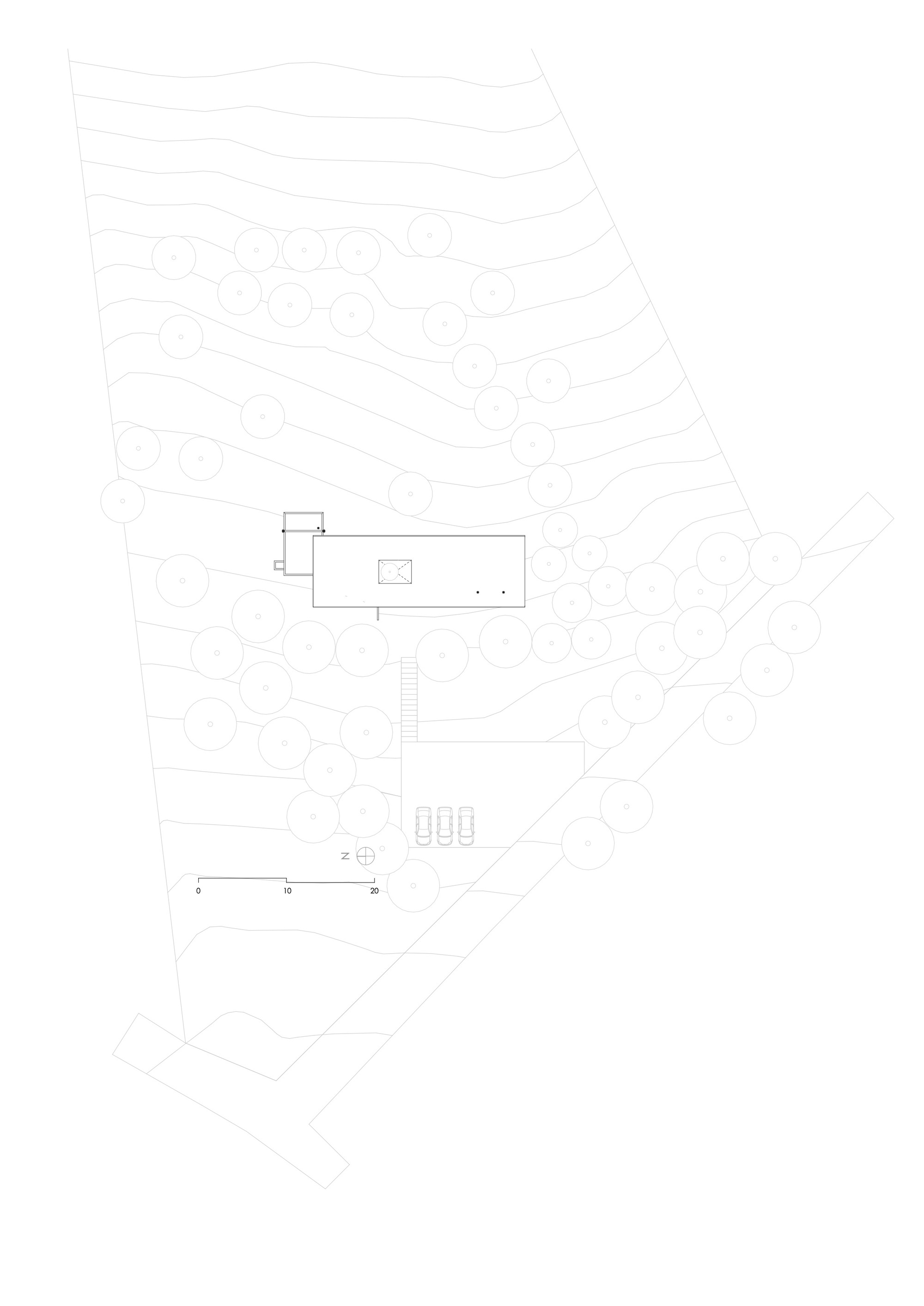 森林之家丨厄瓜多尔阿苏艾丨Abel Guzman Larriva,Juan Vintimilla-19