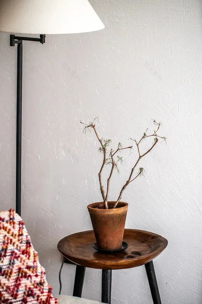 五姐妹同住“乘风破浪的家”,《梦想改造家》实现最美抱团养老-154