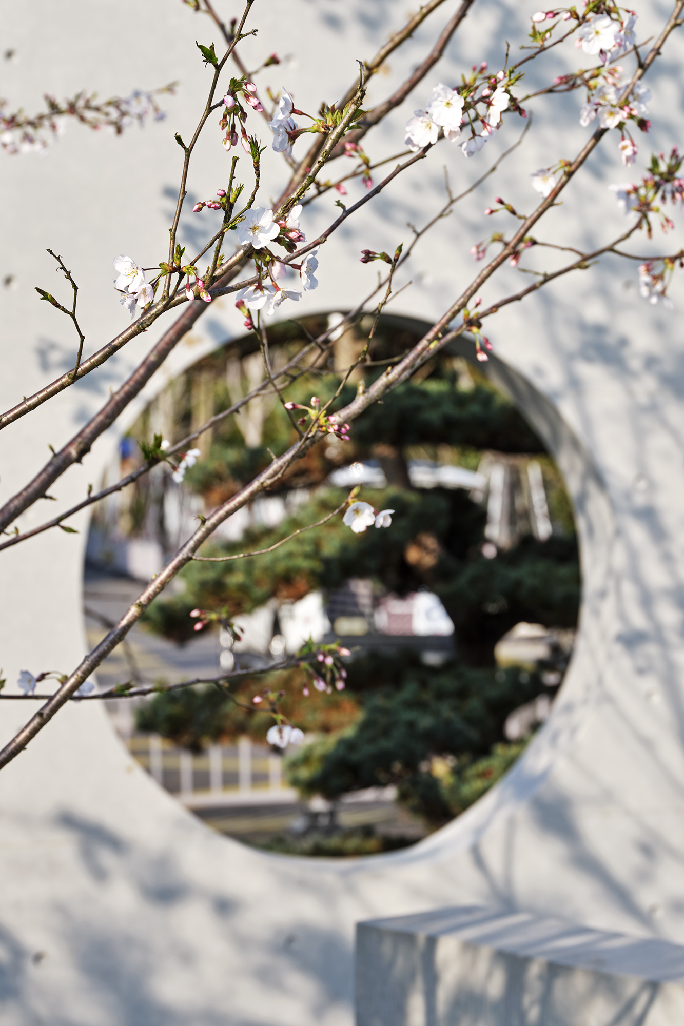 上海浦东金桥镇永建路小公园丨中国浦东新区丨上海善祥建筑设计有限公司-127