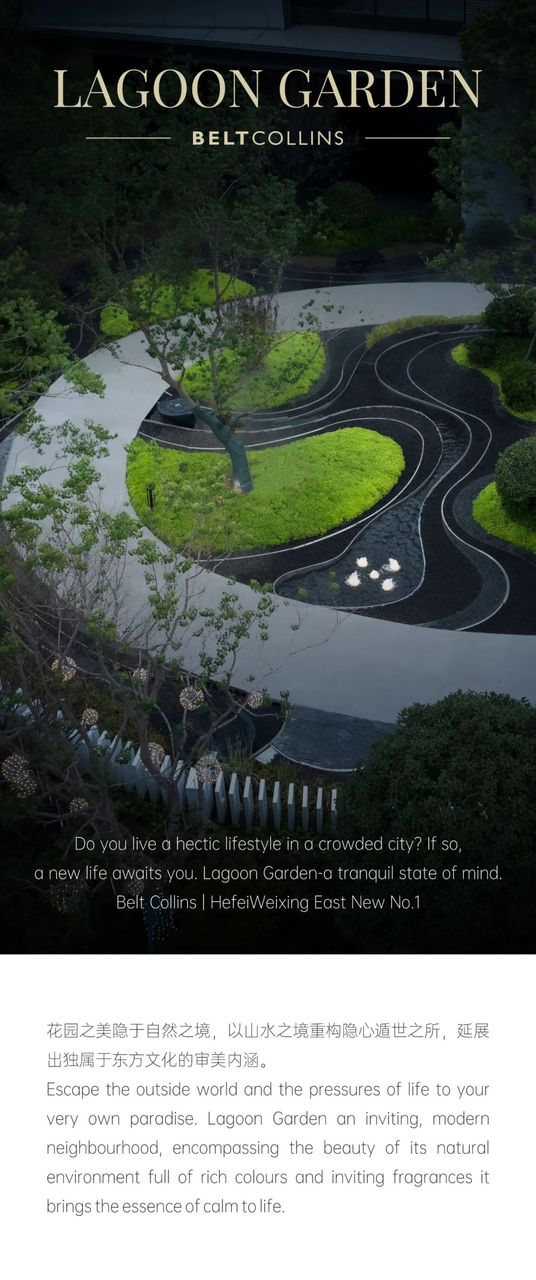 BELT COLLINS | 月下观园 合肥伟星 · 东新壹号-0