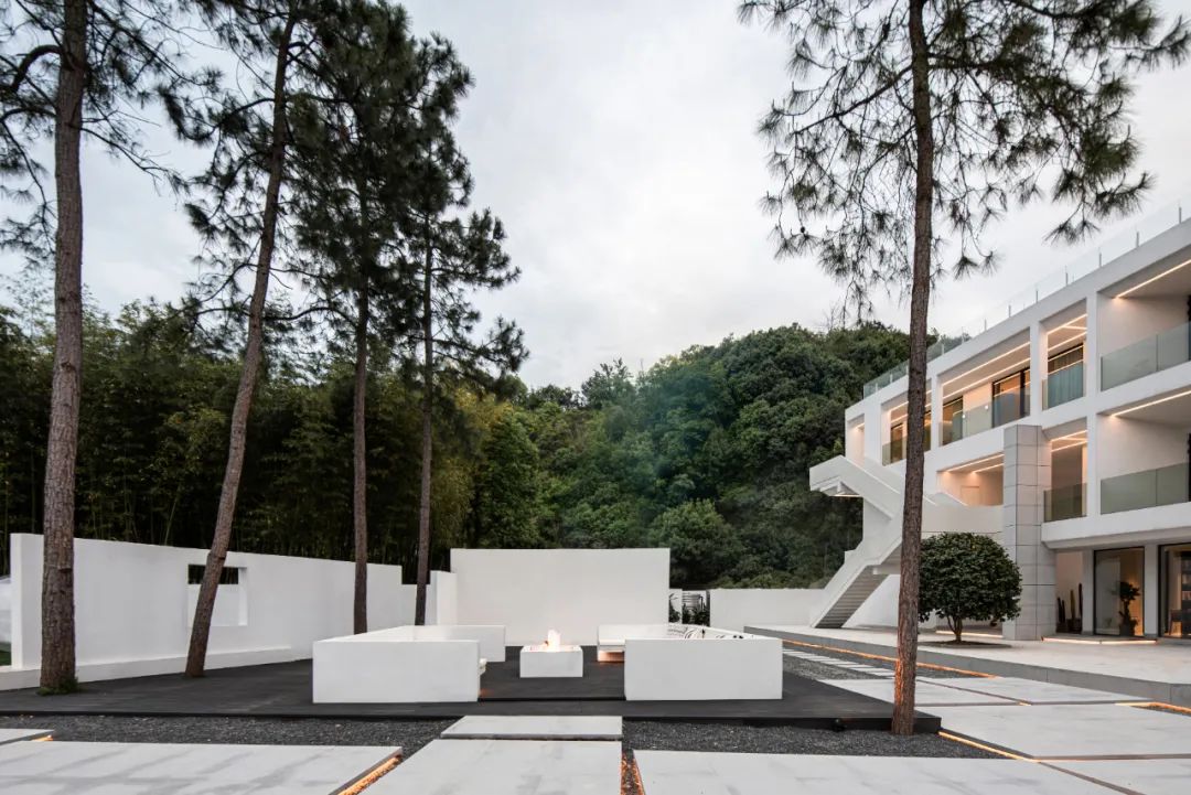 莫干山秘境杉林,尽享自然之美-40