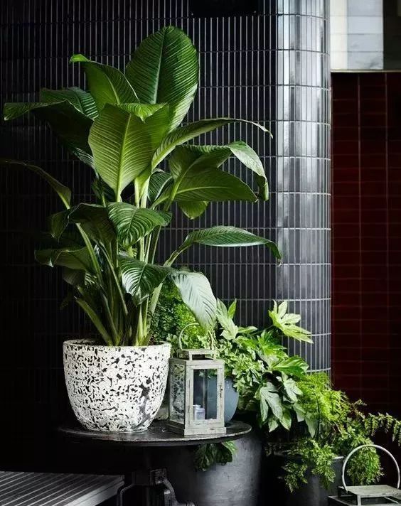 30㎡小户型也能拥有花园,设计师的神奇打造!-18