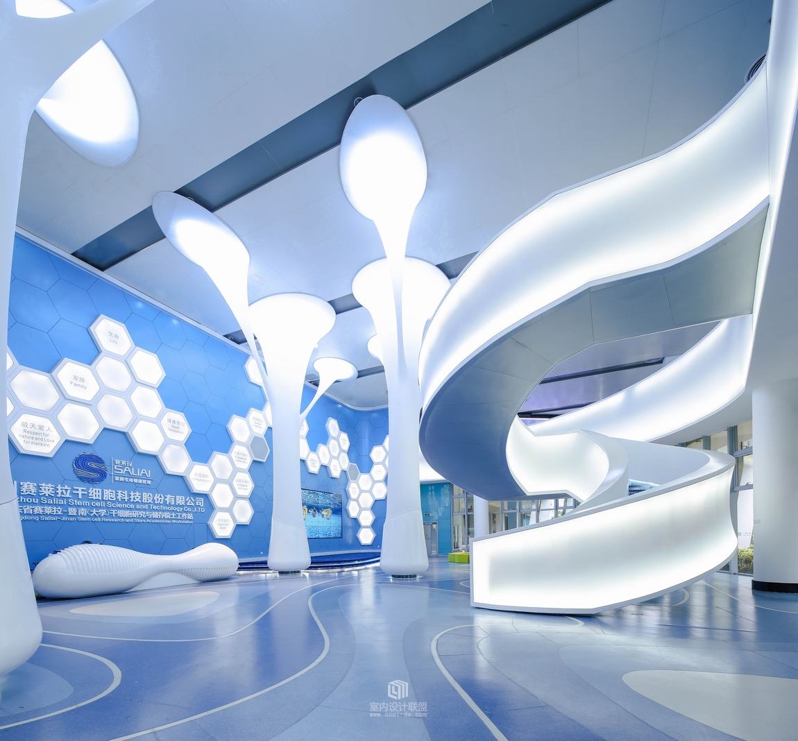 CDI创思设计--赛莱拉干细胞办公室-6