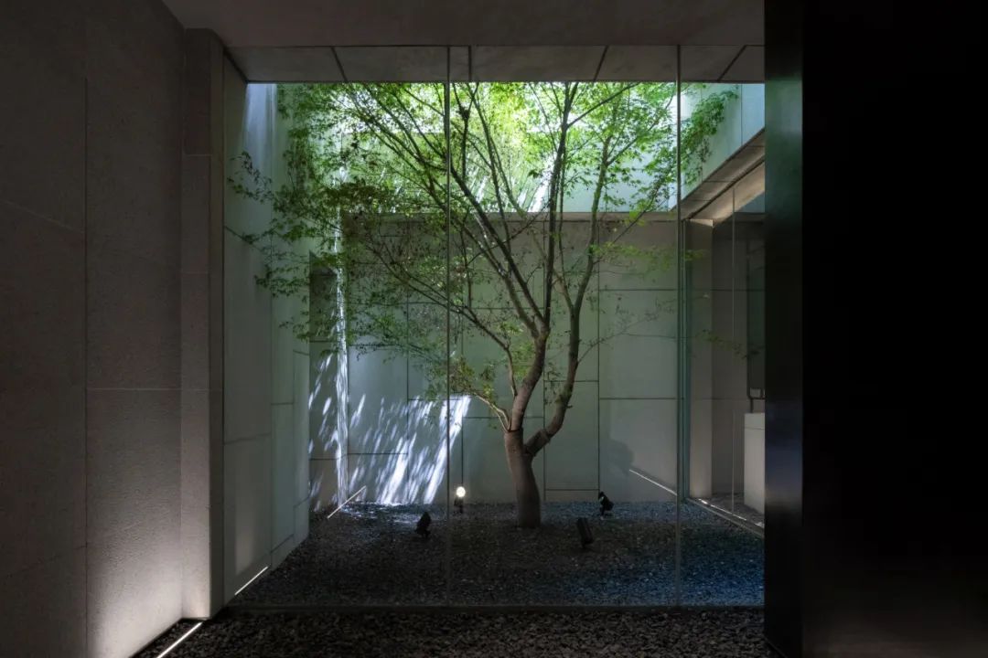 长安有乔木｜中粮 · 大悦未来城城市展厅-146