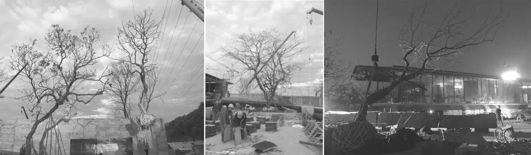  种地景观设计丨苏州万科上湾璟园 景观设计 丨中国苏州-71