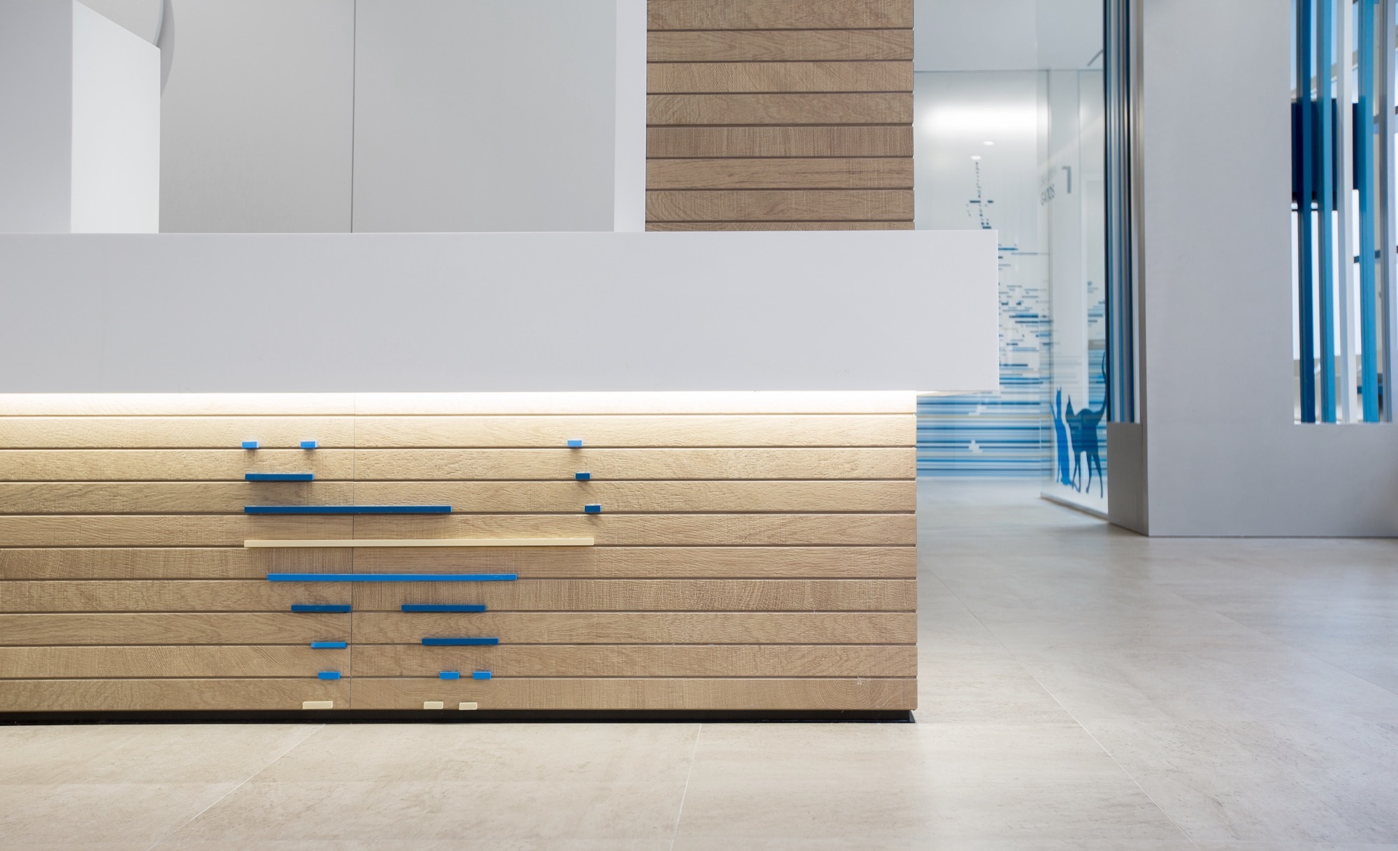 Constitución Veterinary 兽医诊所-20