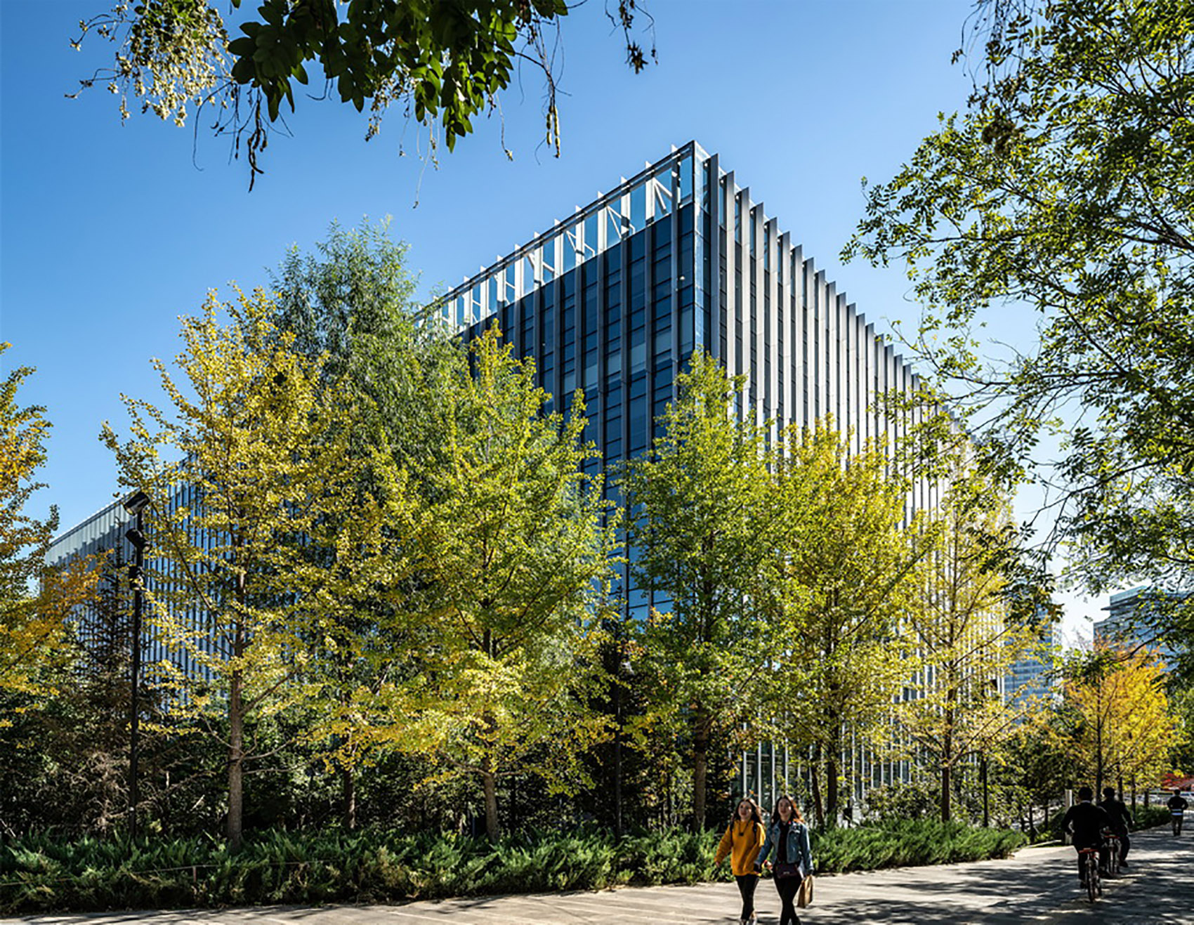 合院中的绿林·利星行中心（北京）景观设计丨中国北京-18