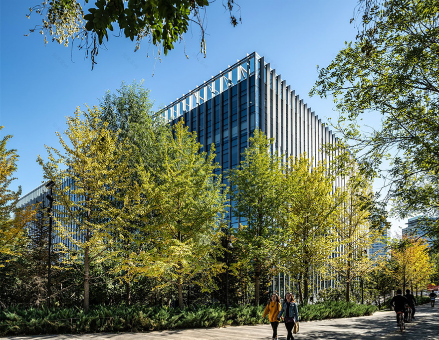 合院中的绿林·利星行中心(北京)景观设计丨中国北京-18