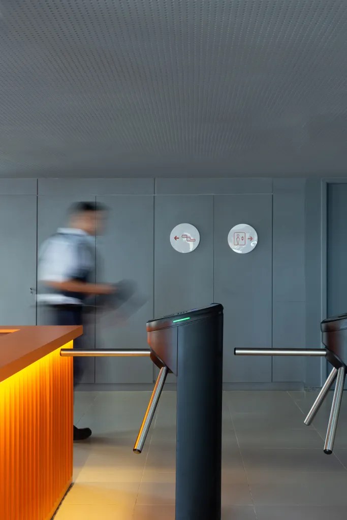 丨巴西伯南布哥-48