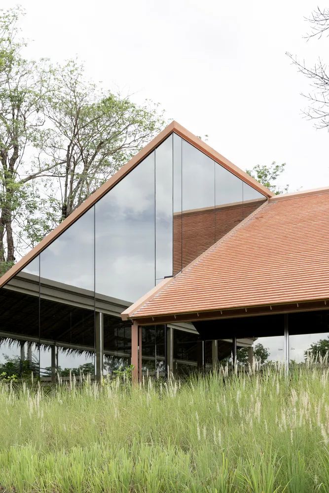 泰国乡村新咖啡馆 | 玻璃与木瓦的生态融合-22