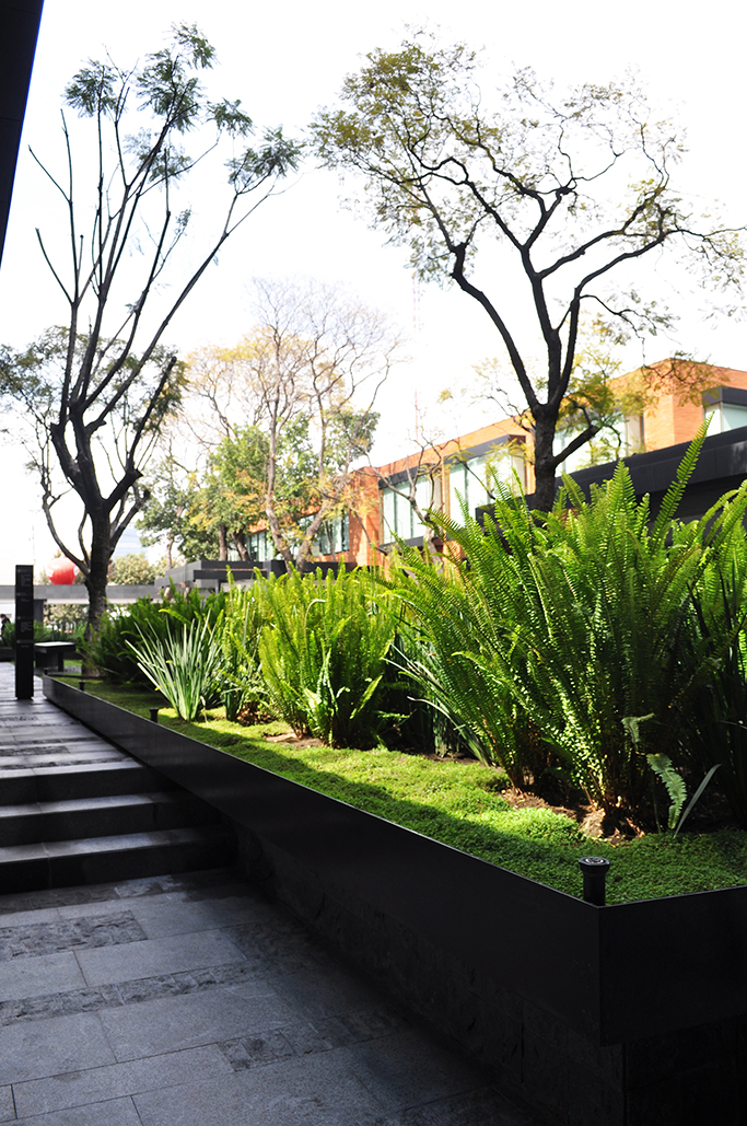 Coyoacán公司校园-33