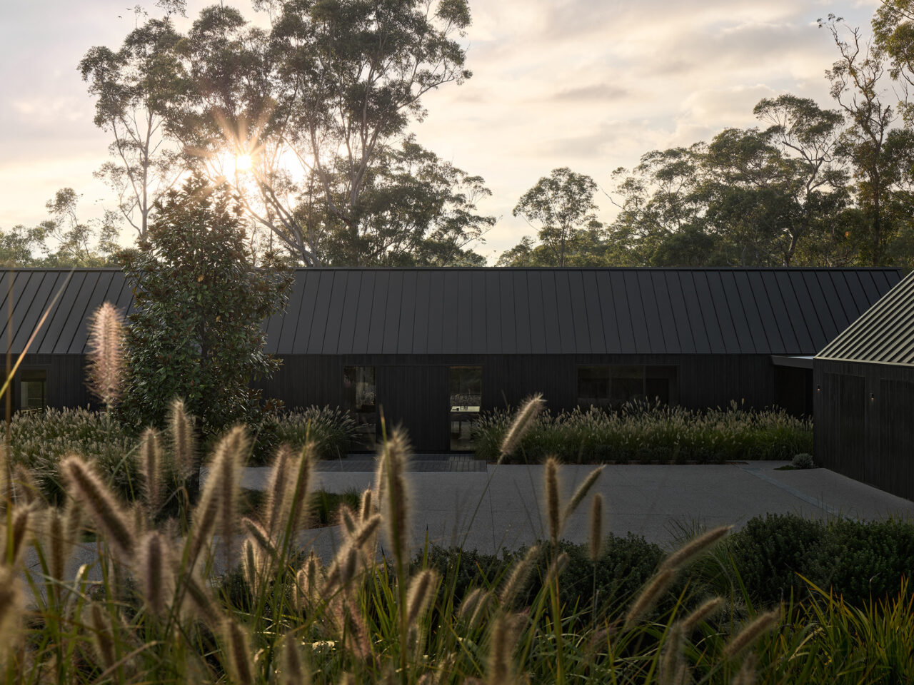 丨澳大利亚新南威尔士-0