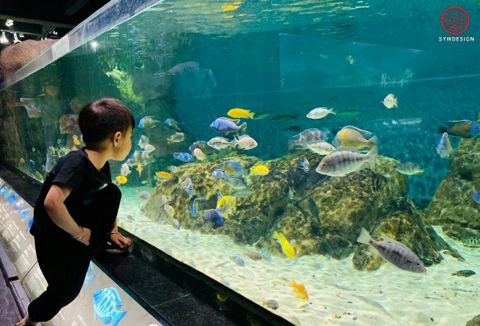遵义海洋馆1-11