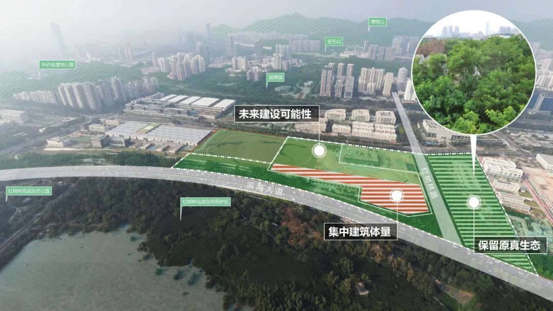 深圳红树林湿地博物馆丨中国深圳丨URBANUS都市实践+中国城市建设研究院无界景观工作室-22