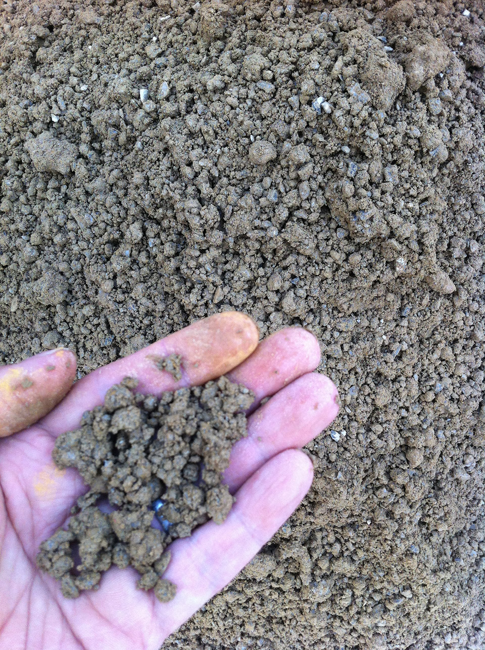 林建筑-与自然树木的共舞 / 迹·建筑事务所(华黎)-153