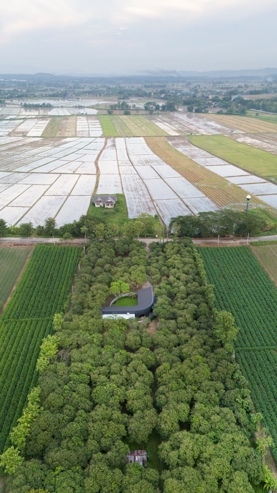小花园中的MADA咖啡馆丨泰国丨BodinChapa Architects-9