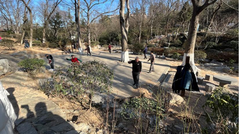 百姓乐园：榉林山焕新归来，悦享自然人文之美-10