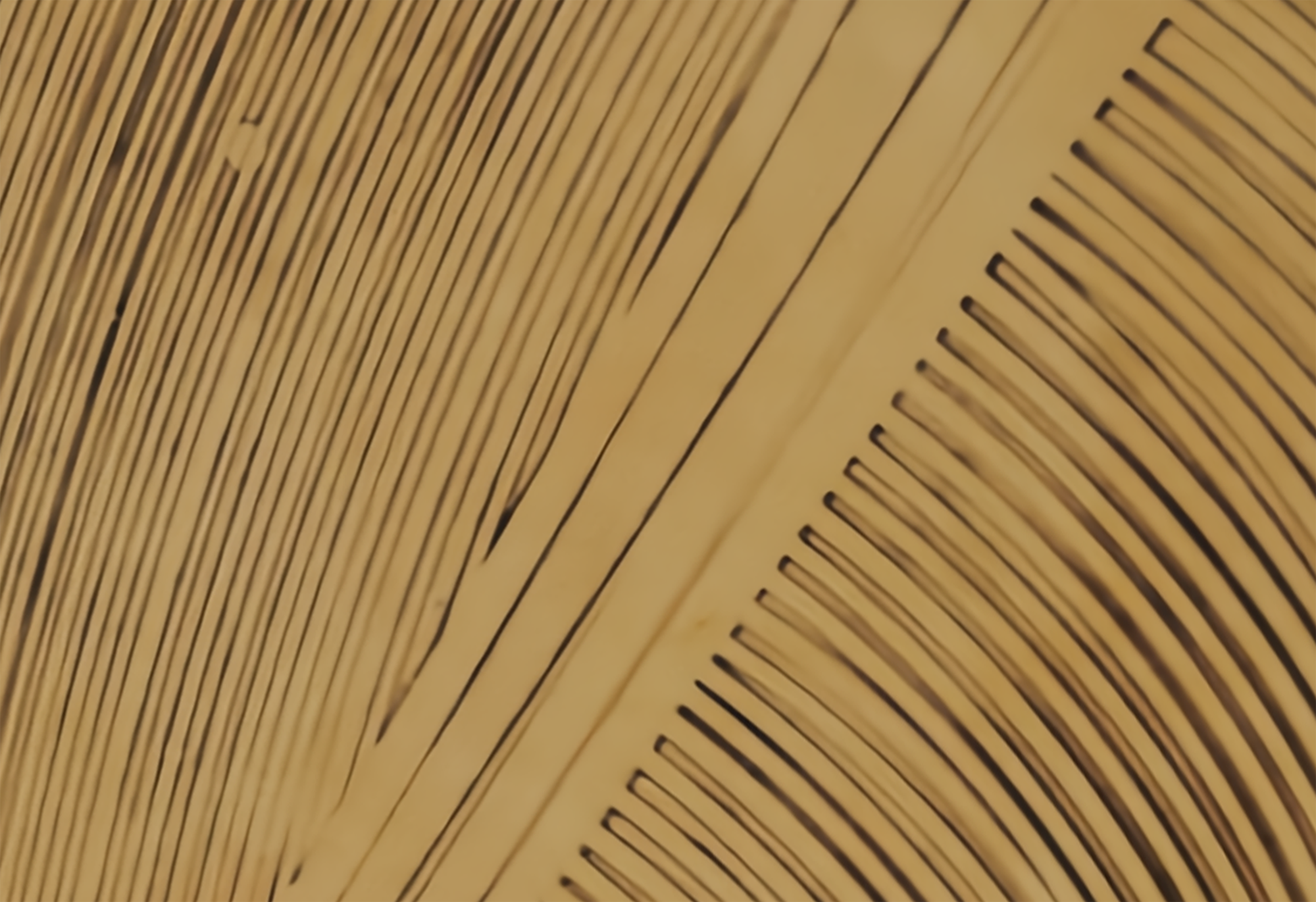 布鲁盟新作｜绿景白石洲城市更新馆：循梦而栖，人文绿洲-116