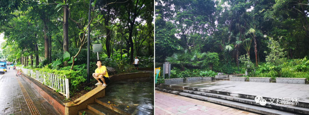 深圳福田花漾街区及街心花园 | 创新景观设计,重构城市空间-10