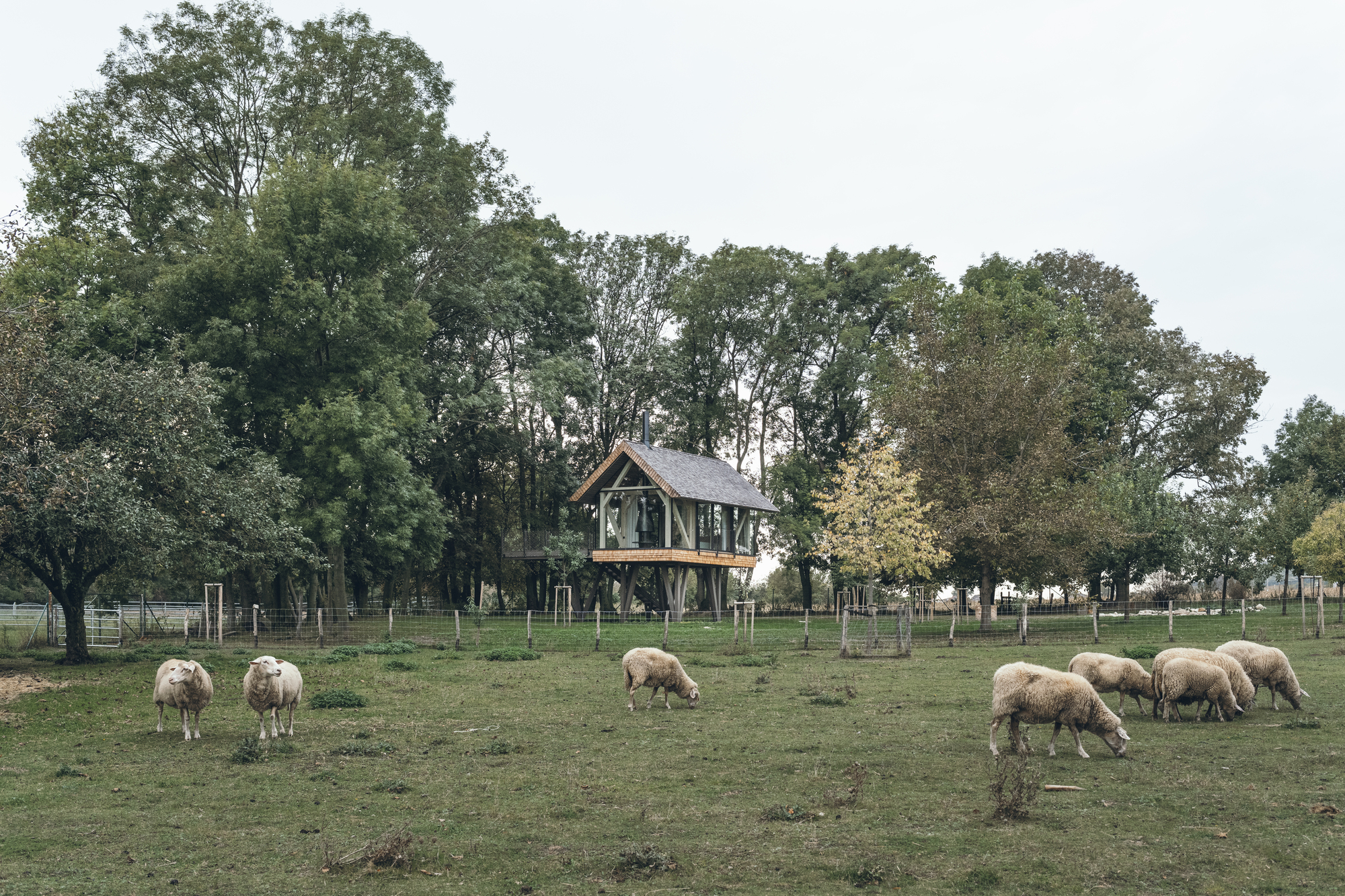 禅房丨奥地利丨JAN TYRPEKL-36