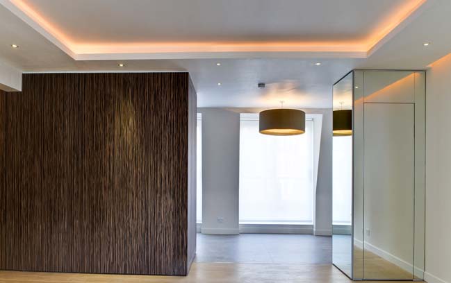 旧公寓改豪华顶层公寓丨Daniel Hopwood Studio-13