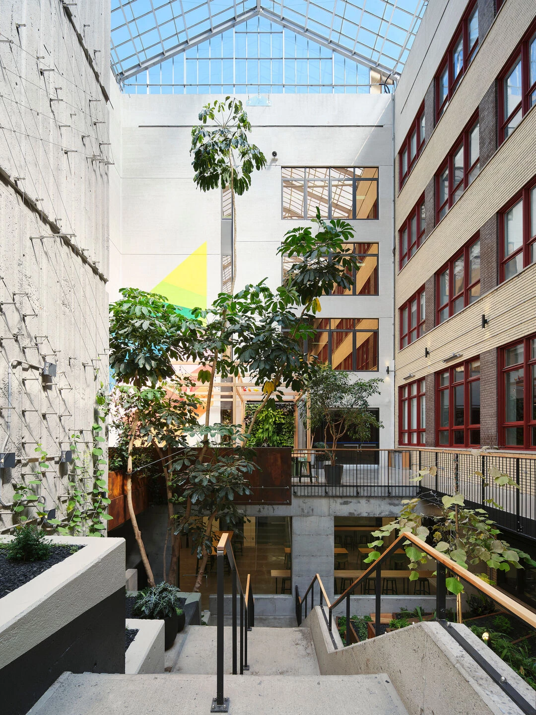 Collège de Maisonneuve 室内花园丨加拿大魁北克丨Taktik Design-54