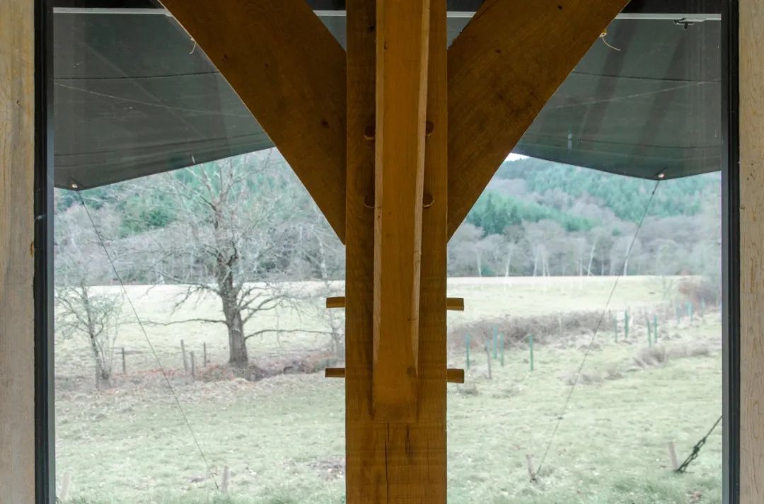 24 平米橡木小屋,绿色可持续的城市商业产品-28