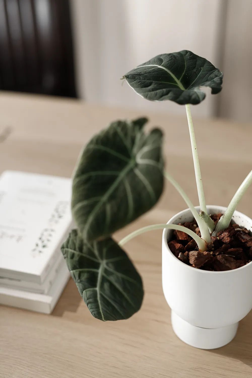 隐于都市的木色温柔 · 涵瑜设计别墅-66