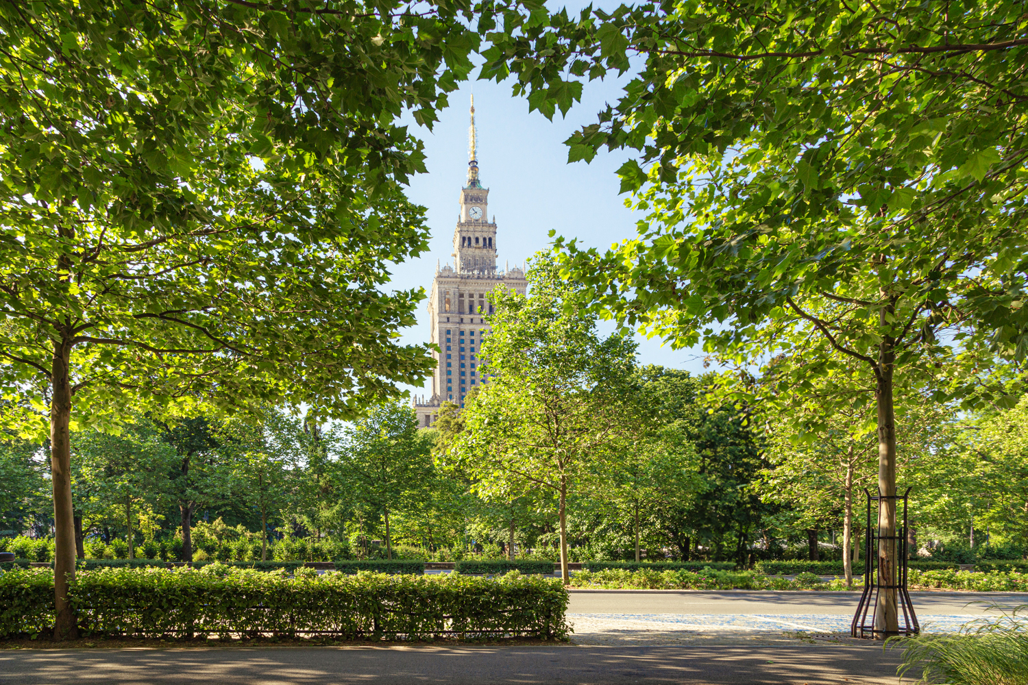 Zielona Świętokrzyska（绿圣十字街项目）丨波兰华沙-12