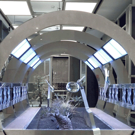 OASIZ 绿洲（HAUS NOWHERE 店）丨中国深圳丨Ruhaus Studio-25