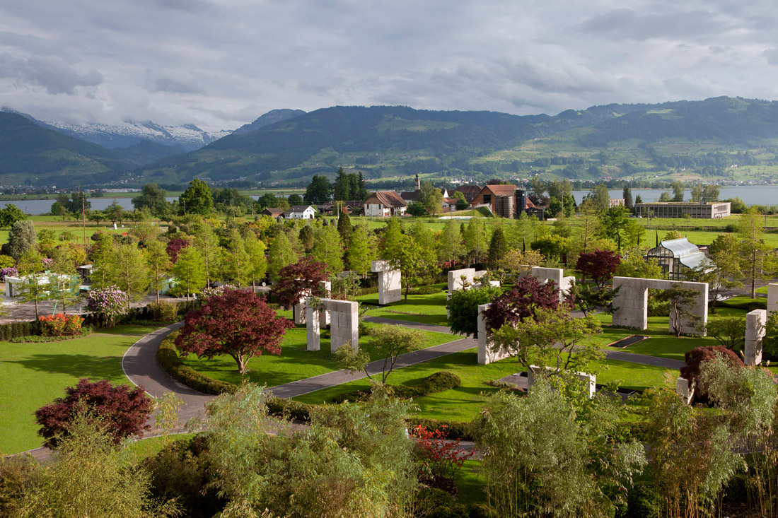 瑞士树博物馆丨Enzo Enea-4