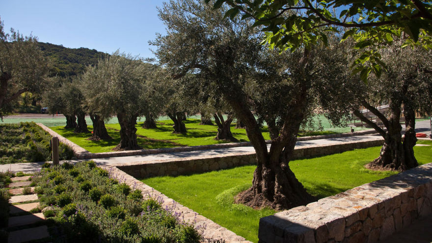 加利福尼亚Kenzo酒厂景观-5