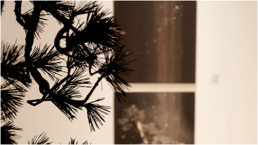 |DARRY·戴瑞软装 | 雅韵东方，融汇现代-1